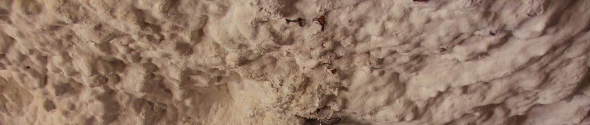 パイロットボールペンの真実：書き味が変わる秘密とは？